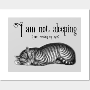 I’m not sleeping Posters and Art